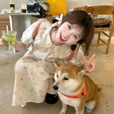 生活万岁 高清封面