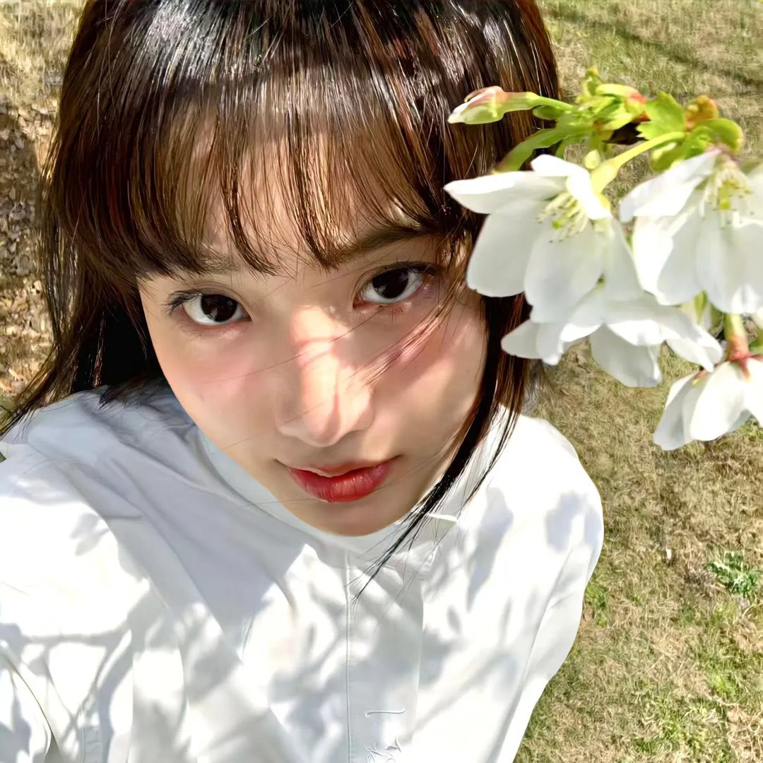 那年青春艳似血